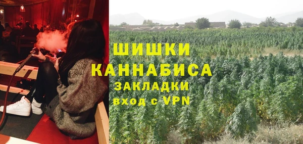 дмт Бронницы