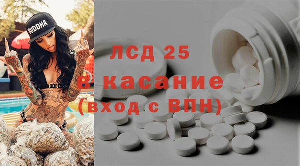 спайс Аркадак