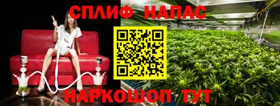 PSILOCYBIN Берёзовский