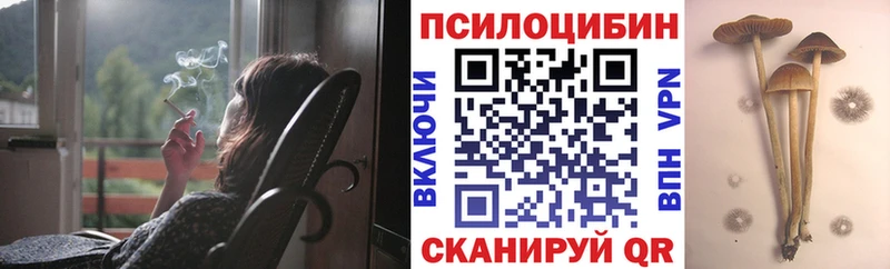 где можно купить   Верхняя Салда  Галлюциногенные грибы GOLDEN TEACHER 